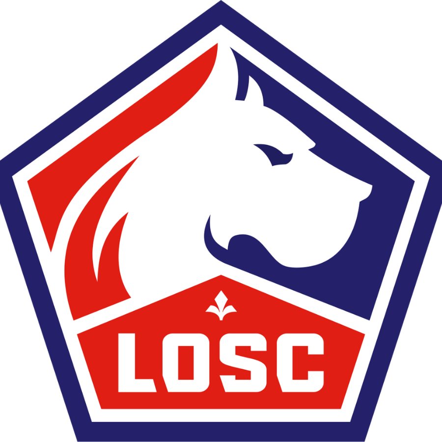 Logo LOSC Lille - maillot de football Lille