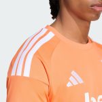 Maillot Juventus Gardien 26/27
