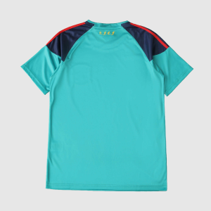 Maillot Espagne Rétro Gardien 2010