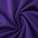 Maillot Fiorentina Domicile 25/26 Homme