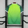 Maillot Nigeria Extérieur 2026/2027 — dos