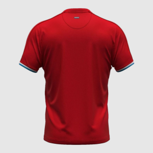 Maillot Luxembourg Domicile 24/25 Homme