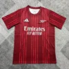 Maillot Arsenal Avant-Match Bordeaux 2025/2026 — devant
