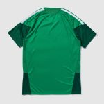 Maillot Algeria d'entraînement 26/27
