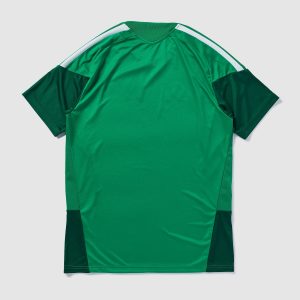Maillot Algeria d'entraînement 26/27