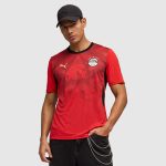 Maillot Egypt Domicile 26/27 Homme