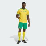 Maillot South Africa Domicile 25/26 Homme