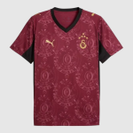 Maillot Galatasaray Troisième 25/26 Homme