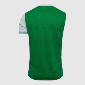 Maillot AS Saint-Étienne Domicile 2025/26 — Homme