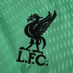 Maillot Liverpool Gardien 25/26 Maillot Liverpool Gardien 25/26
