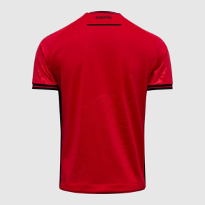 Maillot Albania Domicile 25/26 Homme