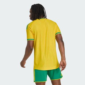 Maillot South Africa Domicile Édition Joueur 25/26