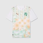 Maillot Ivory Coast Extérieur 26/27 Homme