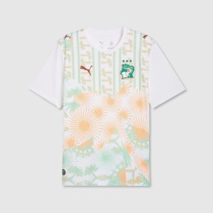 Maillot Ivory Coast Extérieur 26/27 Homme