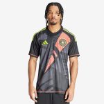 Maillot Germany Gardien 24/25