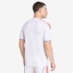 Maillot Olympique Lyonnais Domicile 2025/26 — Homme