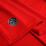Maillot Egypt Domicile 26/27 Homme
