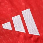 Maillot Germany d'entraînement 2 26/27