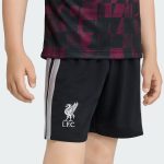 Kit Maillot Liverpool Troisième 26/27 Enfant