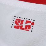 Maillot Benfica Extérieur 25/26 Homme