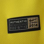 Maillot Brazil Rétro Domicile 2014