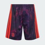 Kit Maillot Bayern Munich Troisième 26/27 Enfant