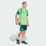 Maillot Mexico d'entraînement 2 26/27