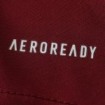 Maillot Aston Villa Domicile 2024/25 — Homme