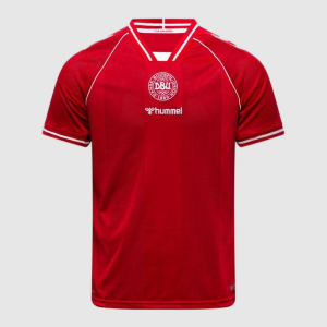 Maillot Denmark Domicile 26/27 Homme