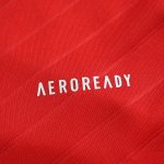 Maillot Benfica Domicile 24/25 Homme