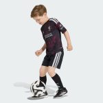 Kit Maillot Liverpool Troisième 26/27 Enfant