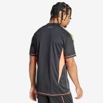 Maillot Germany Gardien 24/25