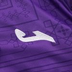 Maillot Fiorentina Domicile 2026/27 — Homme
