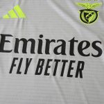 Maillot Benfica Troisième 24/25 Homme
