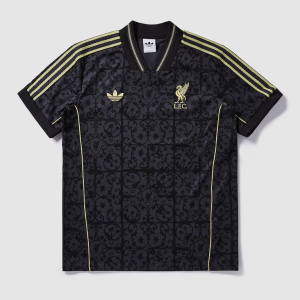 Maillot Liverpool Lifestyler 25/26 Homme