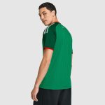 Maillot Algeria Extérieur 26/27 Homme