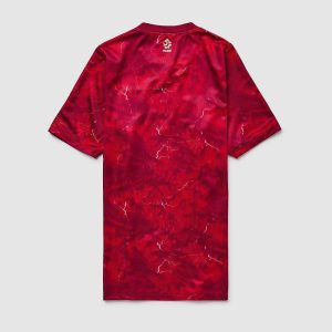 Maillot Poland Extérieur 26/27 Homme