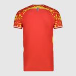 Maillot DR Congo Troisième 26/27 Homme