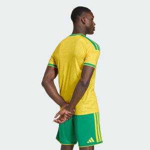 Maillot South Africa Domicile 25/26 Homme