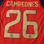 Maillot Espagne Domicile 2026/27 — Édition Joueur Brodée