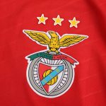 Maillot Benfica Domicile 24/25 Homme