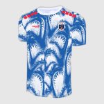 Maillot Cape Verde Avant-match 26/27