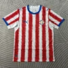 Maillot Paraguay Domicile 2026/2027 — devant Maillot Paraguay Domicile 2026/2027 — devant