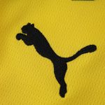 Maillot Borussia Dortmund Domicile 25/26 Homme