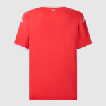 Maillot Tunisia Domicile 25/26 Homme
