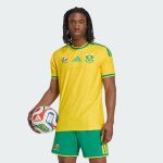 Maillot South Africa Domicile Édition Joueur 25/26