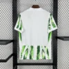 Maillot Nigeria Domicile 2025/2026 — dos