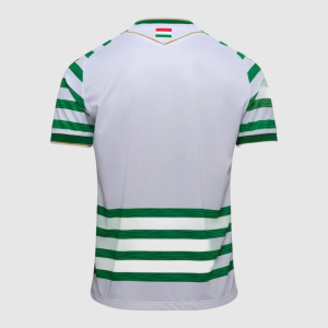 Maillot Ferencvaros Domicile 25/26 Homme