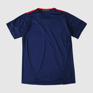 Maillot Espagne Rétro Extérieur 2010