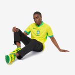 Maillot Brazil Domicile 24/25 Homme